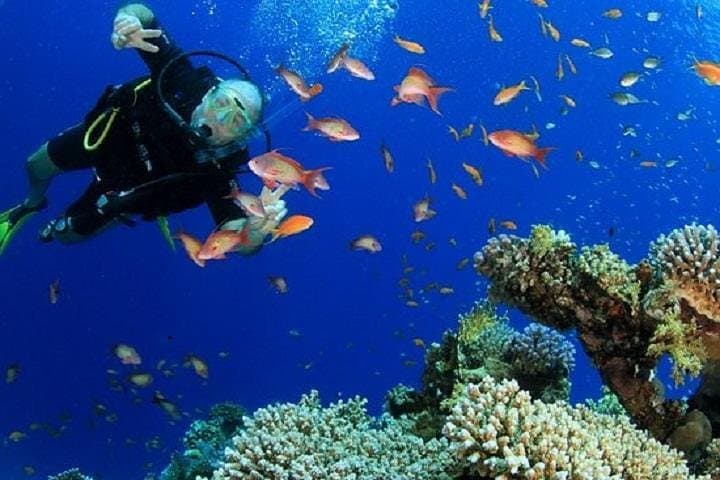 Red Sea 6-Dive Package: Ras Mohamed & Tiran Strait Day Tours photo 2