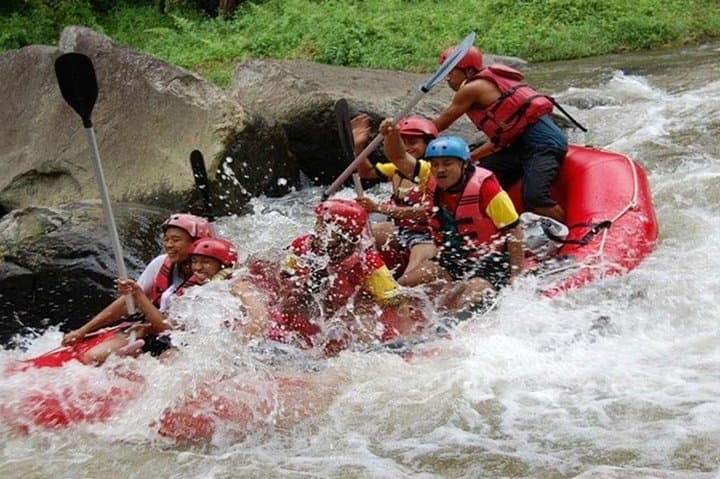 Ayung River Rafting & Ubud Cultural Tour — Full-Day Bali Adventure