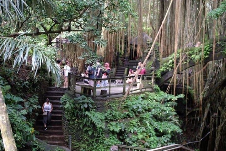 Ayung River Rafting & Ubud Cultural Tour — Full-Day Bali Adventure photo 3