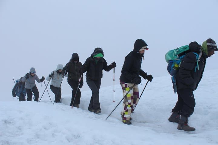 Kilimanjaro Lemosho Route: 8-Day Trek to Uhuru Peak photo 5