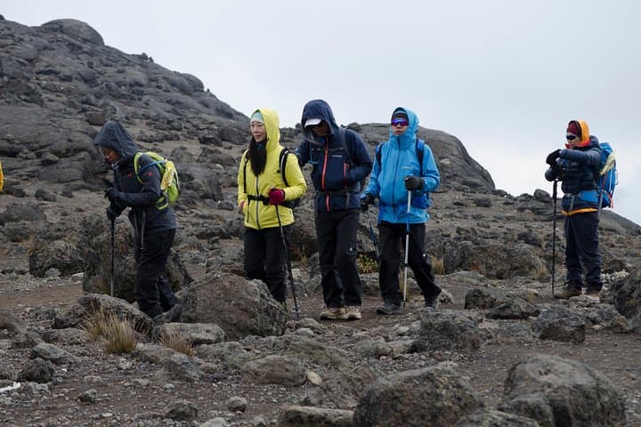 Kilimanjaro Lemosho Route: 8-Day Trek to Uhuru Peak photo 6
