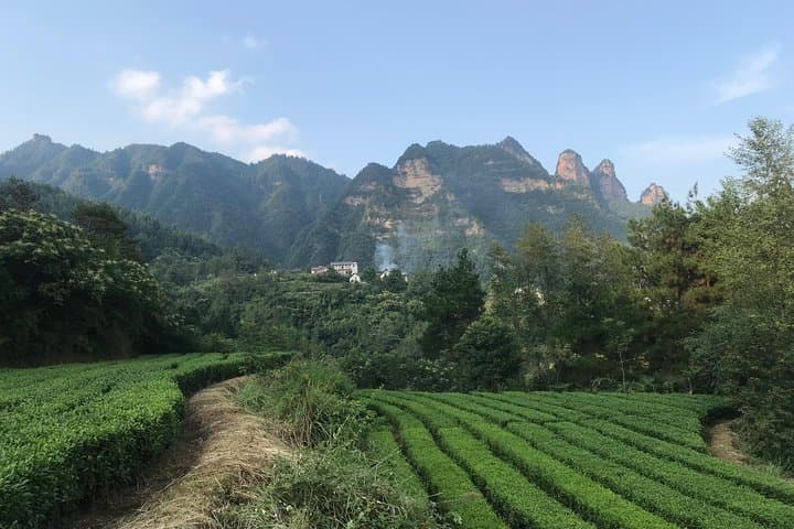 4-Day Zhangjiajie Tour: Avatar Mountains, Glass Bridge & Tianmen Cableway photo 4