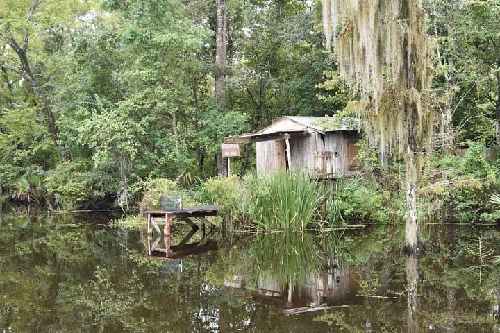 Jean Lafitte 90-Minute Swamp and Bayou Boat Tour from New Orleans photo 5