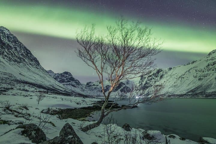 Private Northern Lights Tour in Tromsø — Personalized Aurora Chase with Greenlander photo 5
