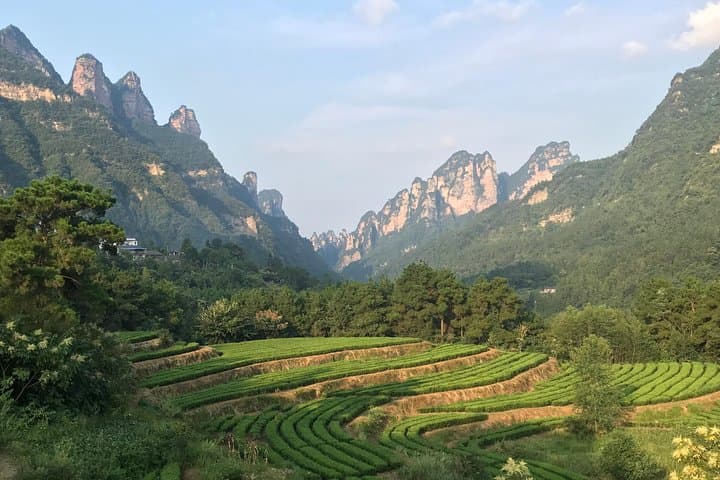4-Day Zhangjiajie Avatar Panorama Tour: Tianzi, Glass Bridge & Tianmen Highlights photo 6
