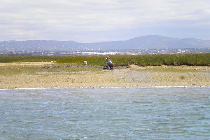 Ria Formosa in an Hour: Short Faro Boat Trip through the Algarve Lagoon photo 4