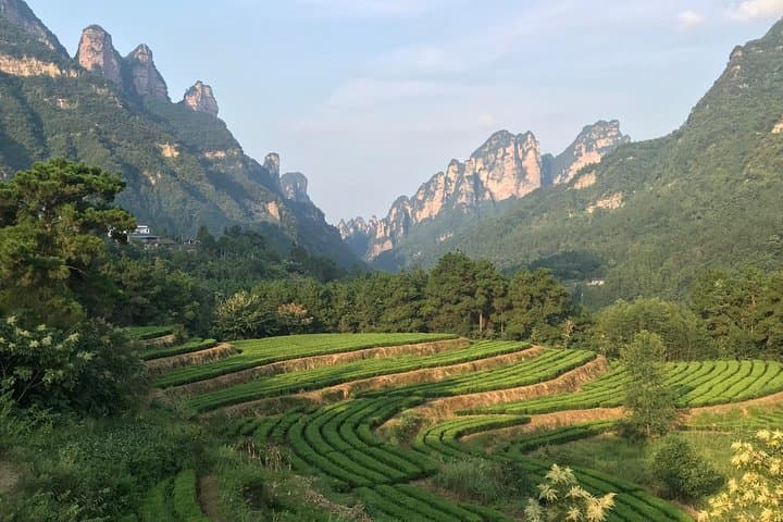 4-Day Zhangjiajie Classic Tour — Zhangjiajie National Forest Park & Tianmen Mountain photo 4