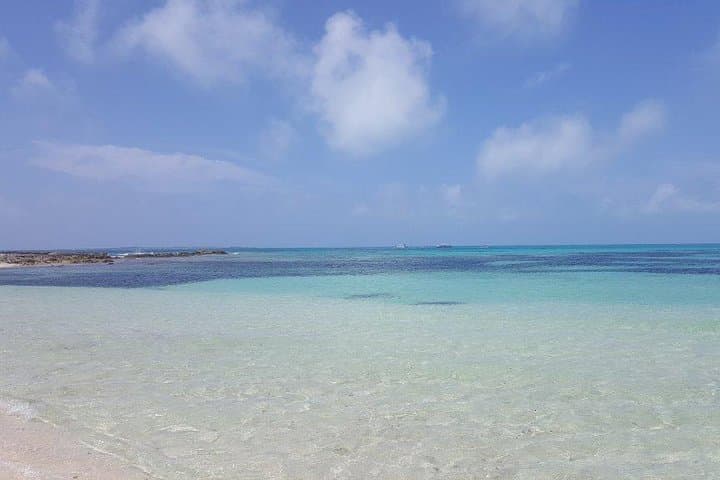 Grand Turk Supreme Snorkeling: Amazing Wall, Gibbs Cay & Stingrays photo 4