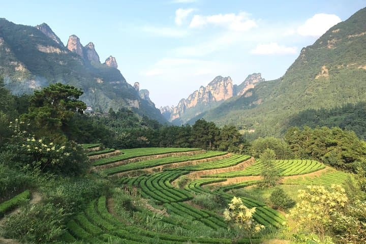 4-Day Zhangjiajie Adventure: Tianzi Peaks, Glass Bridge & Tianmen Cableway photo 2