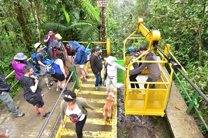 Mindo Day Tour: Birdwatching, Waterfalls & Chocolate from Quito photo 5