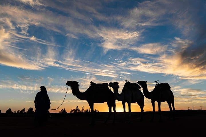 Agadir Camel Ride at Sunset with Barbecue Dinner and Souss Estuary Views