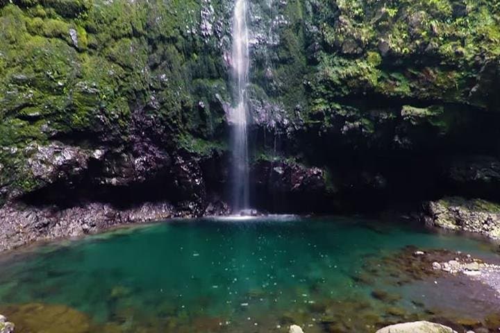 Caldeirão Verde Levada Walk — Queimadas to the 100m Waterfall in Madeira photo 6