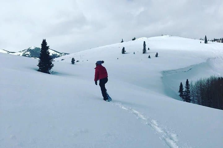 Private Park City Snowshoe Excursions: Guided Winter Walks & Mountain Views photo 2
