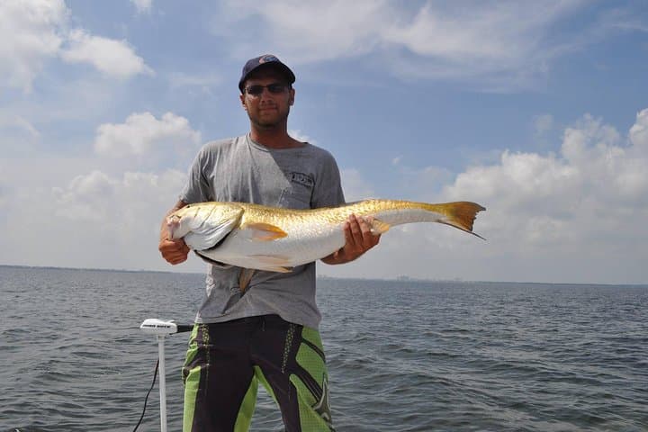 4-Hour Fishing Charter in Tampa Bay: An Authentic Local Experience photo 3