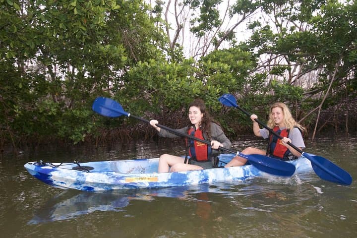 Kayak the Laguna Grande Bioluminescent Bay: Night Paddle from San Juan photo 6