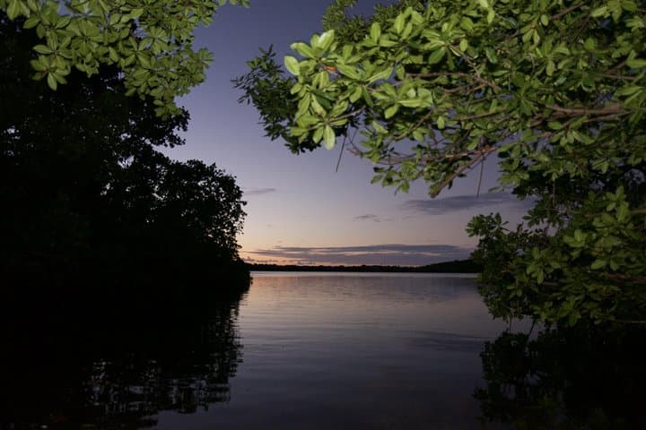 Night Kayak to Laguna Grande: Bioluminescent Bay Adventure from San Juan photo 6