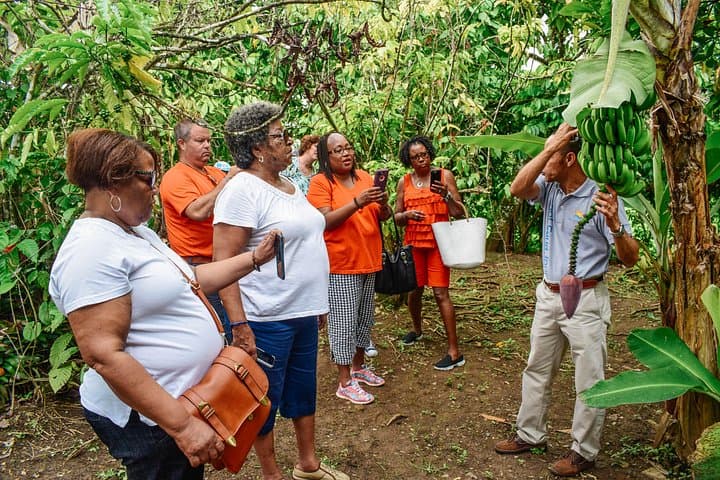 Half-Day Private Higüey Cultural Tour from Punta Cana — Basilica, Coffee & Countryside photo 3