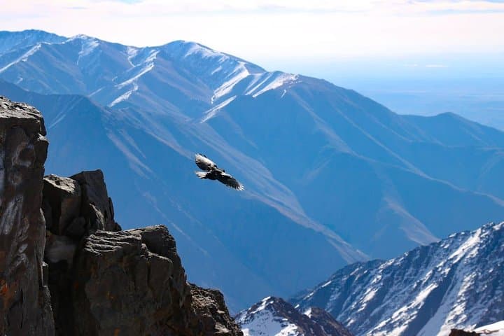 Two-Day Toubkal Trek: Summit Mount Toubkal from Marrakech photo 3