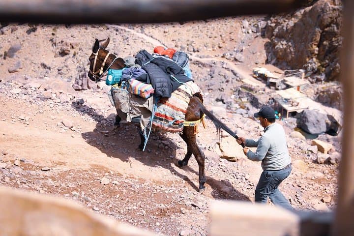 Two-Day Toubkal Trek: Summit Mount Toubkal from Marrakech photo 5