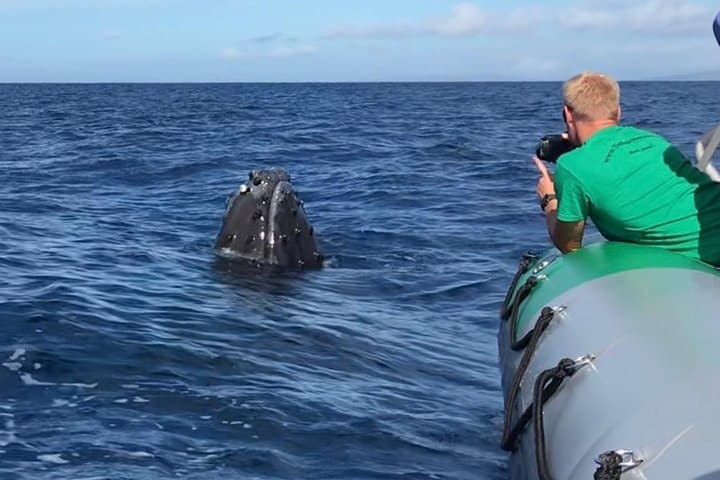 Ka'anapali Whale Watching on The Magic Merman: Raft Excursions to Humpbacks
