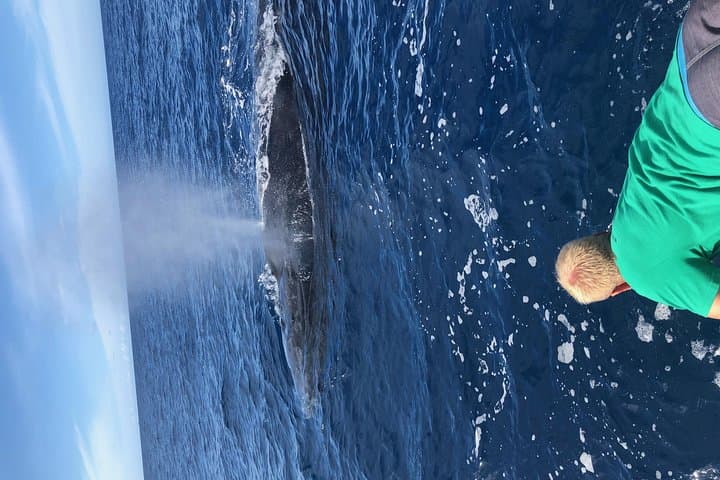 Ka'anapali Whale Watching on The Magic Merman: Raft Excursions to Humpbacks photo 6