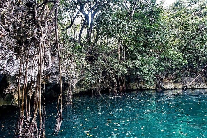 Puerto Morelos Reef & 3 Cenotes Tour — Snorkel the Mesoamerican Reef, Swim Freshwater Sinkholes, and Taste Local Tacos photo 5