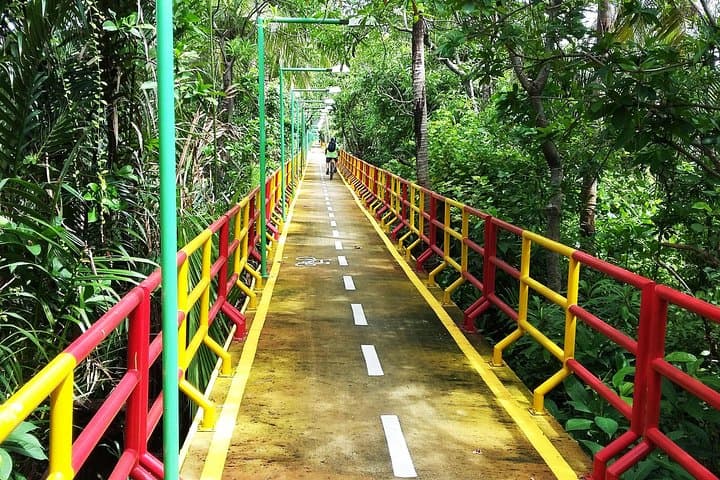 Explore Bang Krachao: Bangkok’s Green Lung Bike Tour photo 6