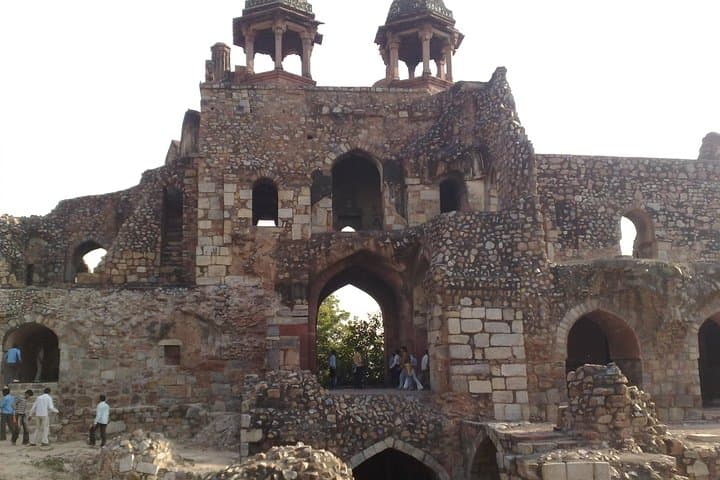 Delhi Zoo White Tigers & Purana Qila Old Fort Tour — See Tigers, Lions & Ancient Forts photo 4