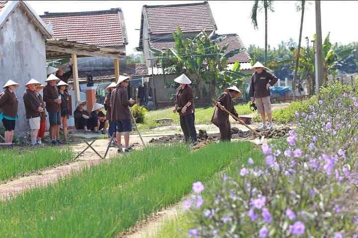 Half-Day Tra Que Cooking Class & Village Cycle from Hoi An
