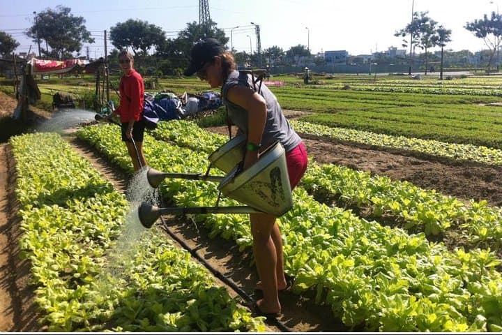 Half-Day Tra Que Cooking Class & Village Cycle from Hoi An photo 3