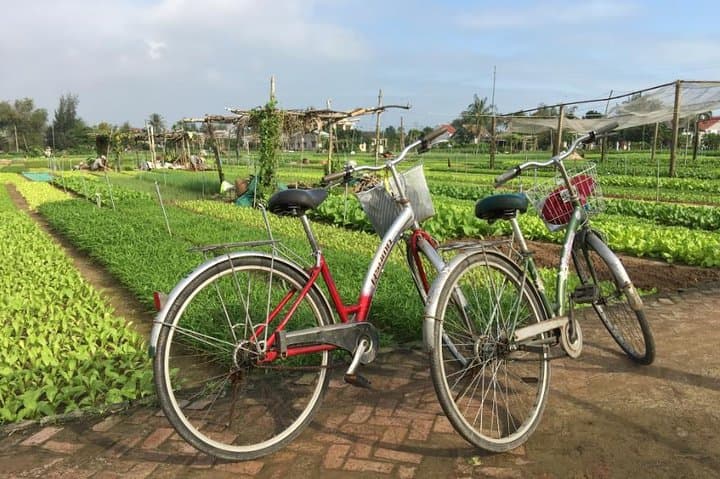 Half-Day Tra Que Cooking Class & Village Cycle from Hoi An photo 6