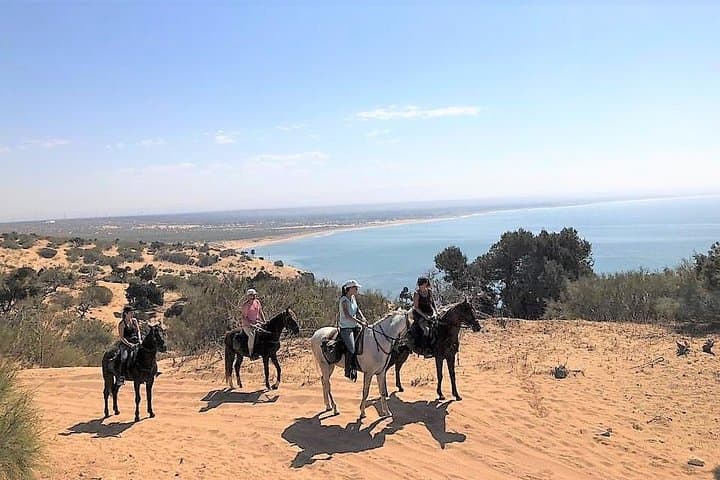 Essaouira Beach Horse Ride: 3-Hour Saddle Tour with Picnic