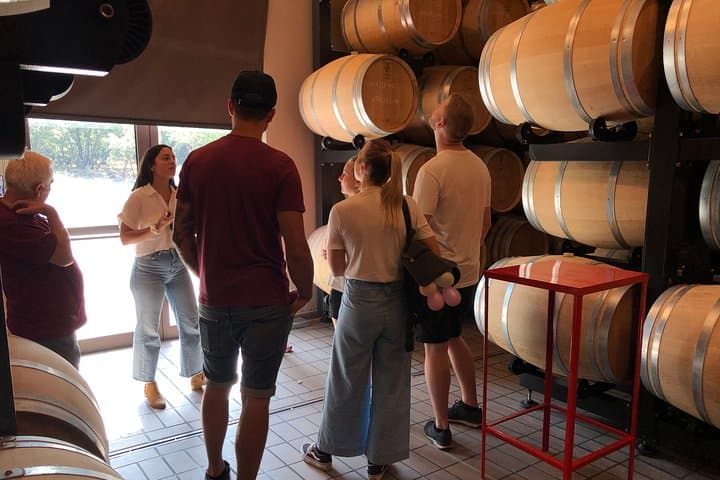 Etna Volcanic Wine & Food Day Tour: Private Walk on Lava and Tasting photo 5