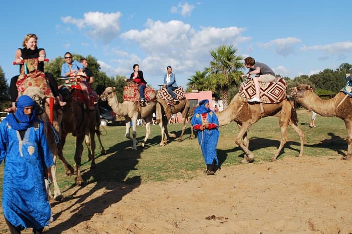 Sunset Camel Ride & Barbecue Couscous at Agadir Ranch photo 4