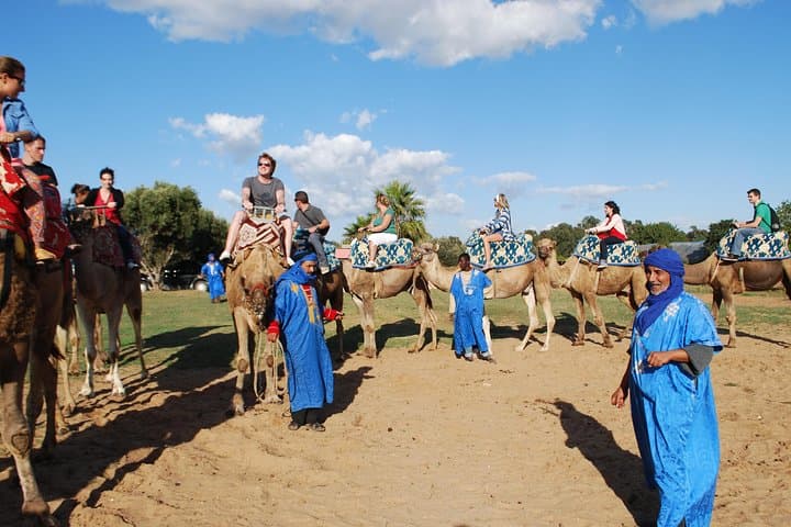 Sunset Camel Ride & Barbecue Couscous at Agadir Ranch photo 5