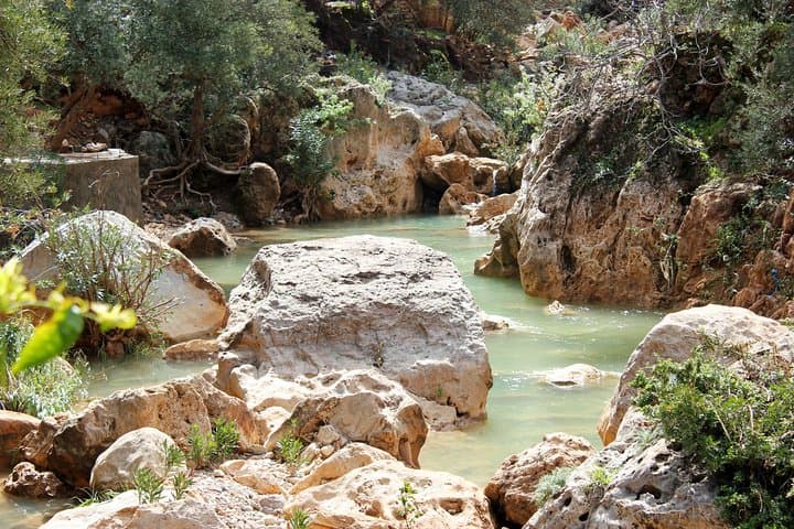 Beekeeping and Mountain Tour in Imouzzer: Honey Routes and Mountain Pools from Agadir photo 3
