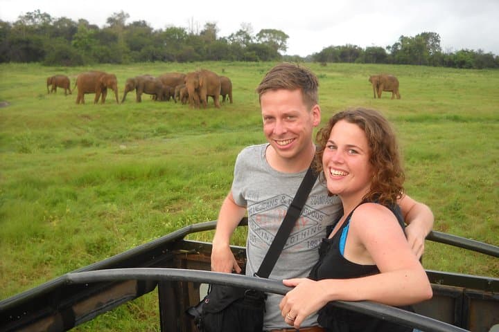 Guided Elephant Safari at Minneriya & Kaudulla — See Asia’s Largest Elephant Gathering