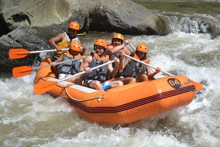Ayung River Rafting from Bongkasa: 4km Jungle Rapids Near Ubud photo 3