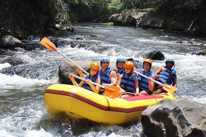Ayung River Rafting from Bongkasa: 4km Jungle Rapids Near Ubud photo 4