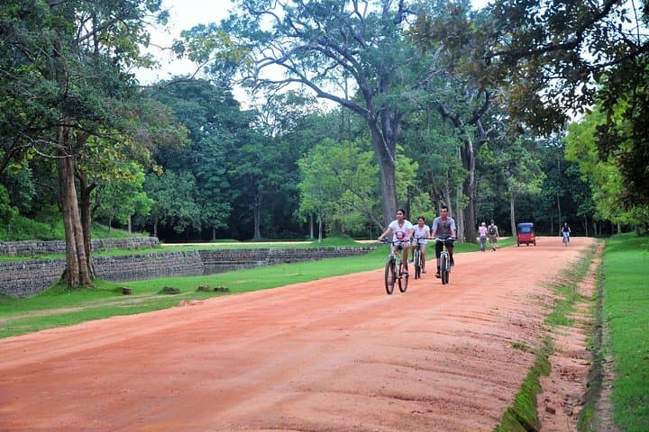 Sigiriya Village Cycle Tour: Ride Rice Fields & Enjoy a Home-Made Lunch photo 5