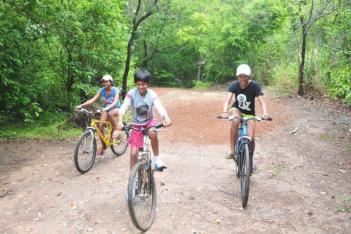 Sigiriya Village Cycle Tour: Ride Rice Fields & Enjoy a Home-Made Lunch photo 6