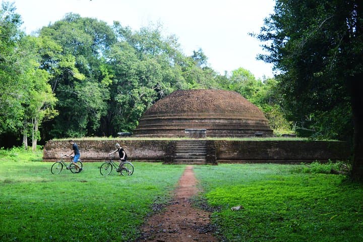 Sigiriya Village Cycle Tour: Ride Rice Fields & Enjoy a Home-Made Lunch photo 4