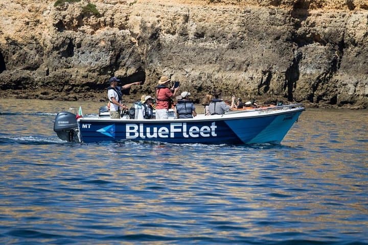 Ponta da Piedade Boat Trip from Lagos: Grottos, Stacks & Cliff Views photo 5