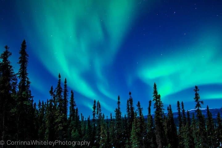 Off-the-Grid Cabin Dinner and Northern Lights Viewing Near Fairbanks photo 4