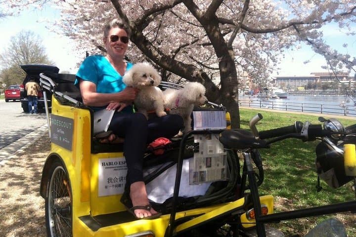 Grand Monuments & Memorials Tricycle Tour — Washington DC National Mall Experience