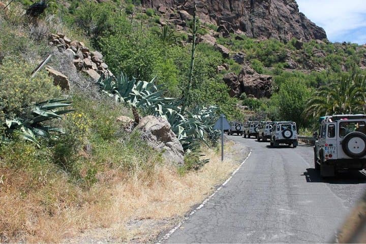 Gran Canaria Jeep Tour: 4x4 Route from Maspalomas to Fataga, Chira Dam & Las Moscas photo 5