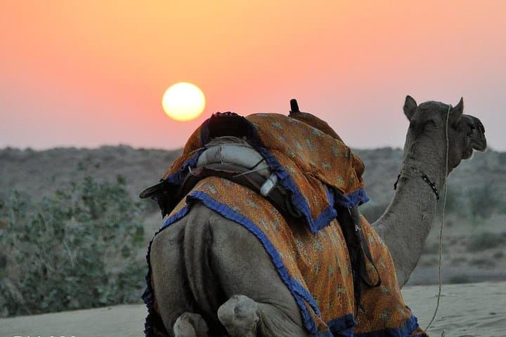 Golden Triangle & Jaisalmer Desert Safari: 6-Day Private Tour from Delhi photo 3