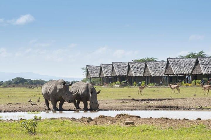 Ol Pejeta Conservancy 2-Day Safari: Chimp Sanctuary & Black Rhino Experience photo 3