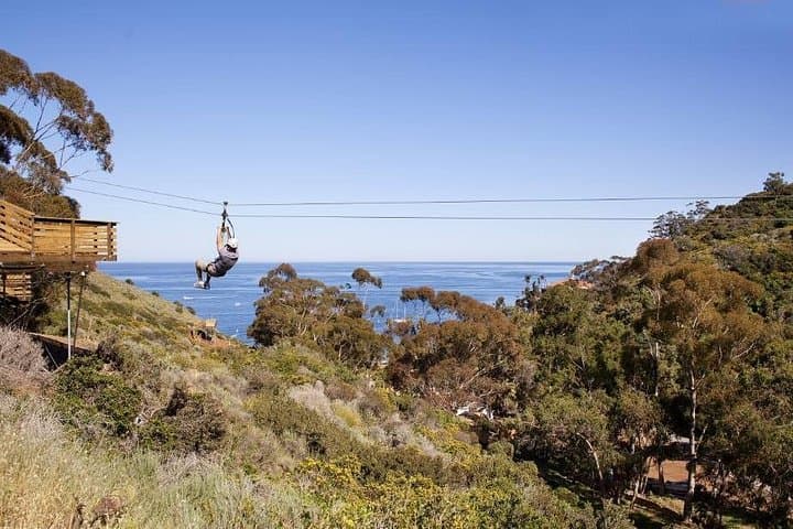 Catalina Island Zip Line Eco Tour — Five Lines Over Descanso Canyon photo 3