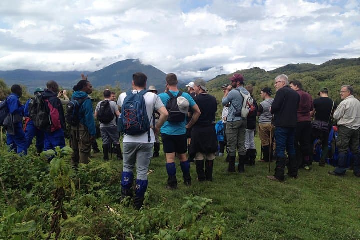 Discover a Thousand Hills: Rwanda Gorilla Tracking and Cape Town Trails photo 6